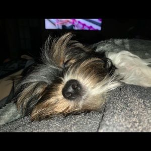 Meet your Posher, Kristy